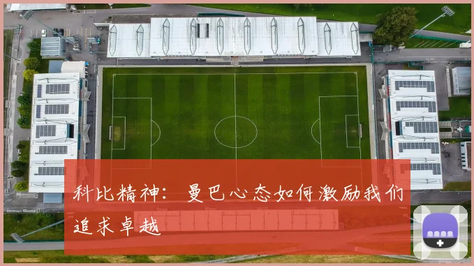 科比精神：曼巴心态如何激励我们追求卓越