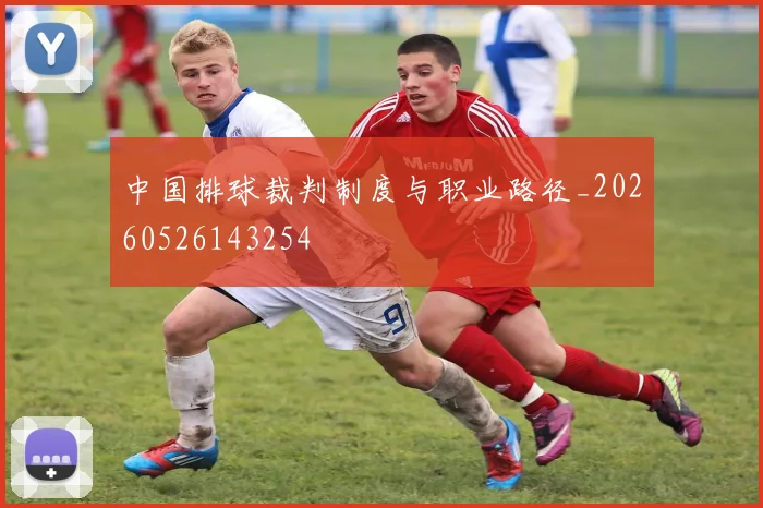 中国排球裁判制度与职业路径_20260526143254